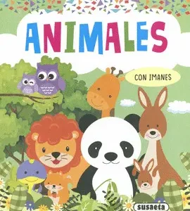 LIBRO DE TARJETAS MAGNETICAS