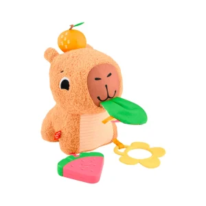 FISHER-PRICE ABRACITOS Y JUEGUECITOS