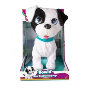 BOWIE PERRITO CLUB PETZ